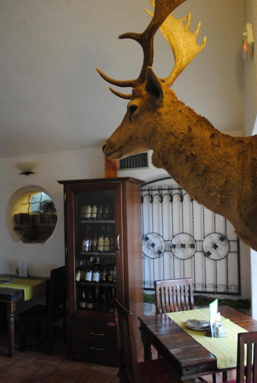 Hotel Allvet Drnovice  Dış mekan fotoğraf